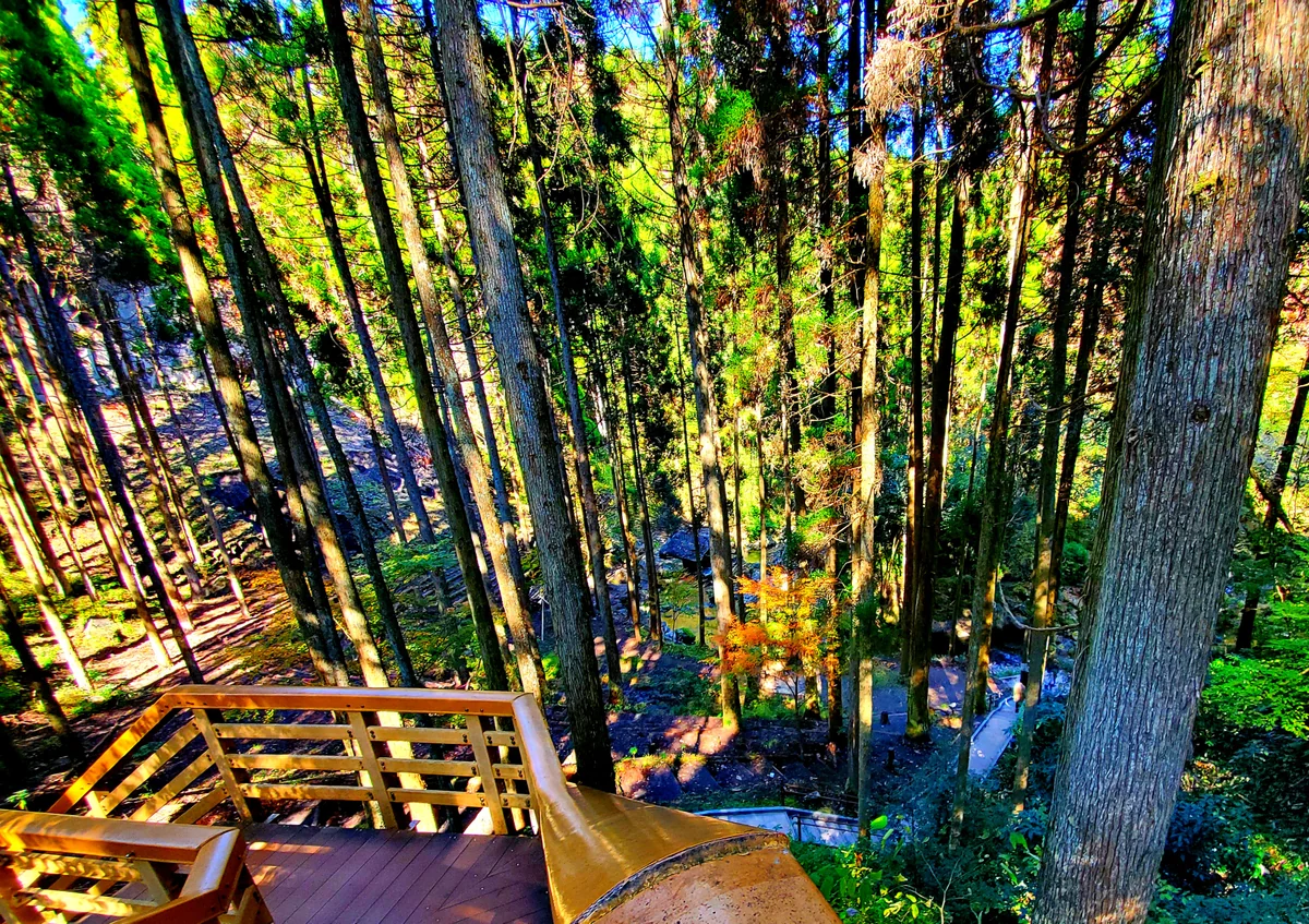 投稿写真：谷底へ