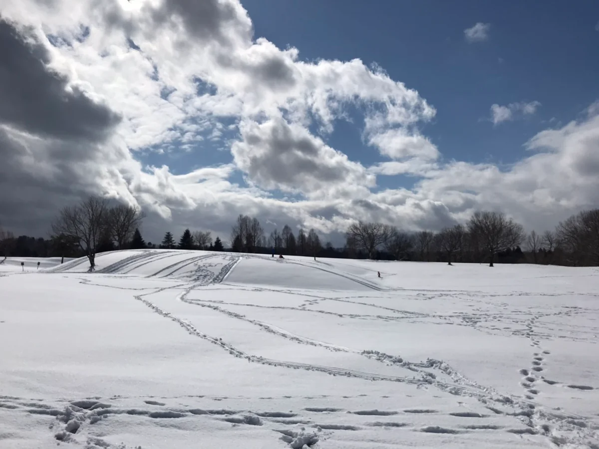 投稿写真：雪原