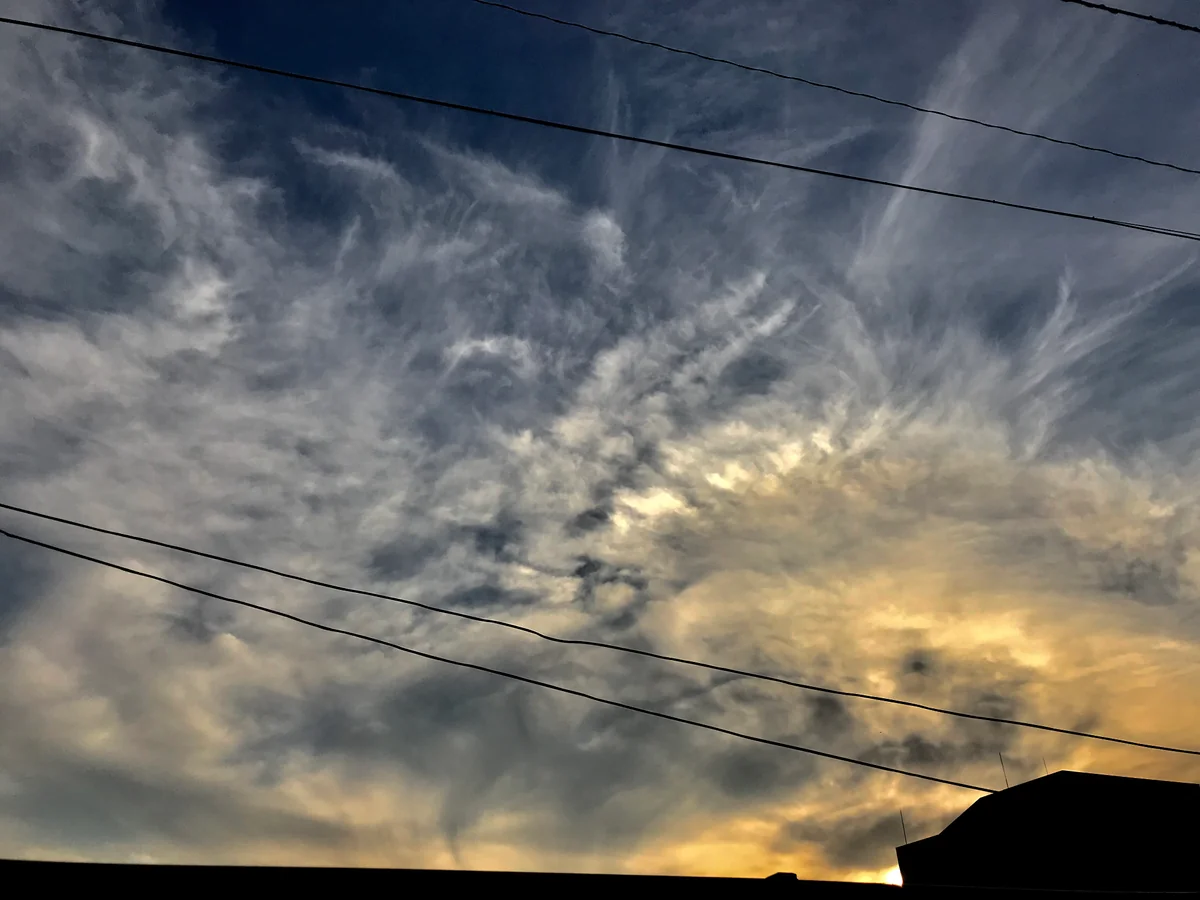 投稿写真：龍の舞