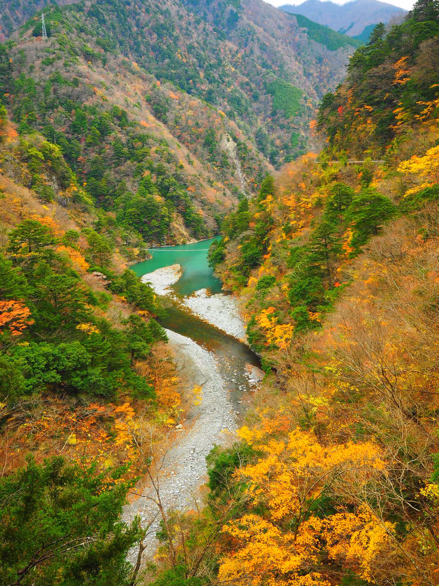投稿写真：寸又峡　秋の景色