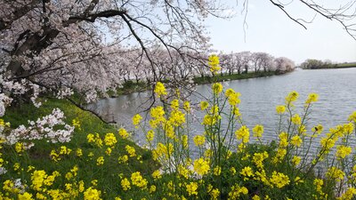  | 絶景事典