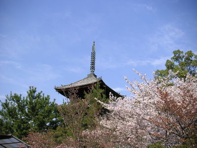  | 絶景事典