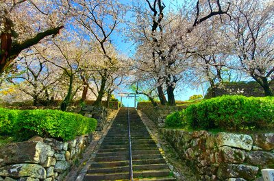  | 絶景事典