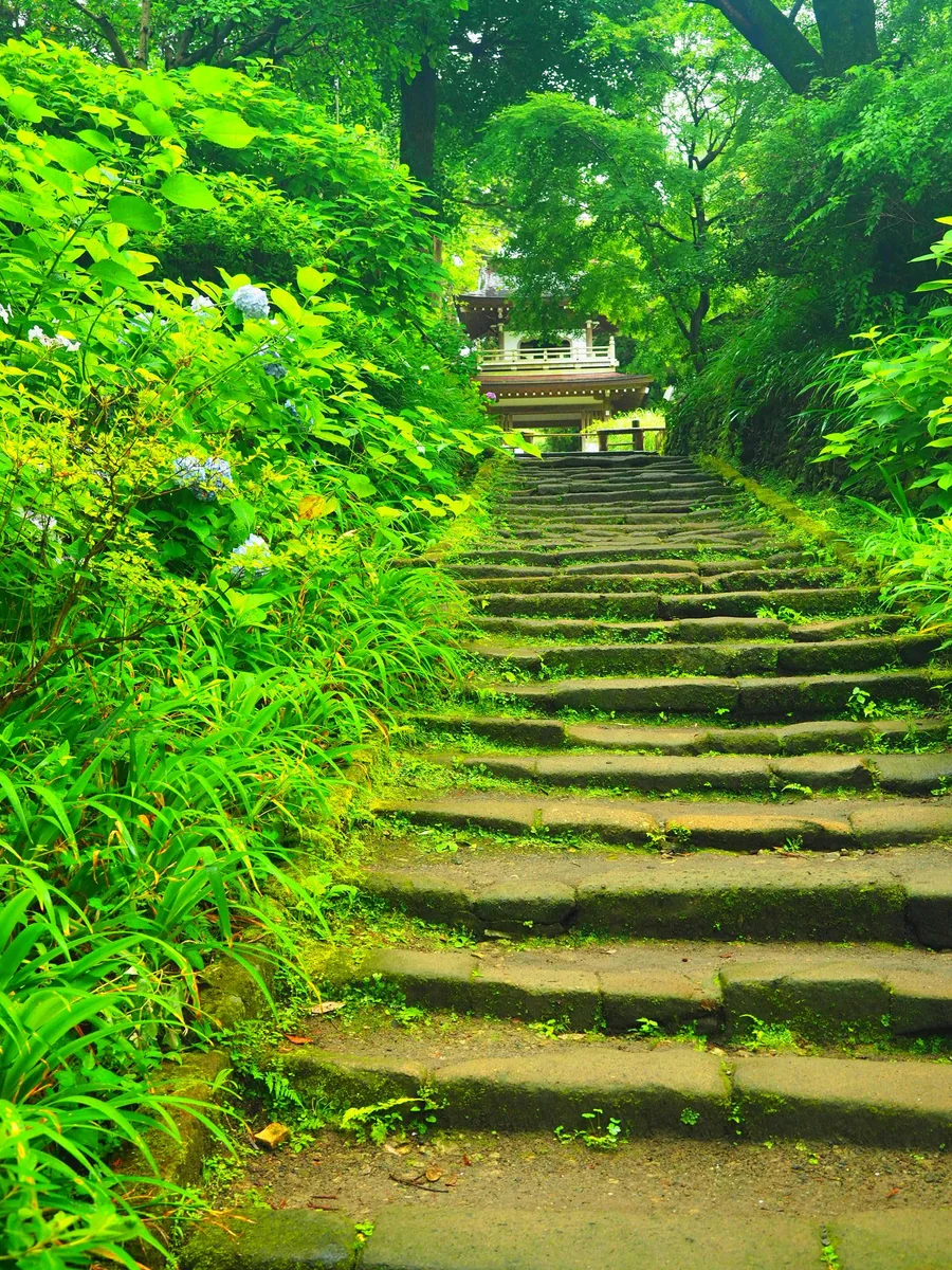投稿写真：浄智寺参道