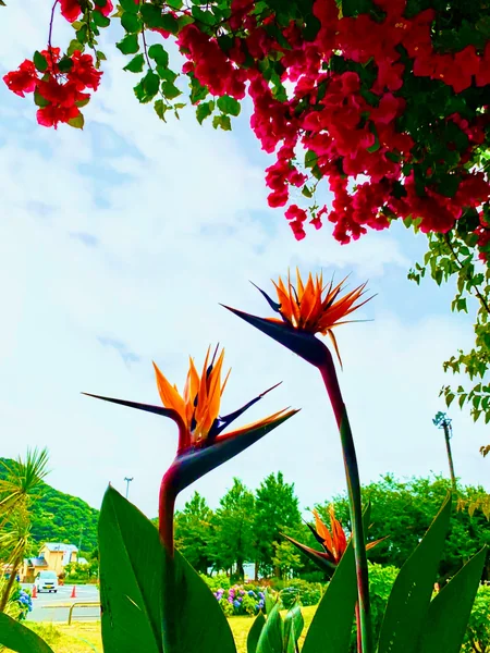 投稿：道の駅保田小学校
