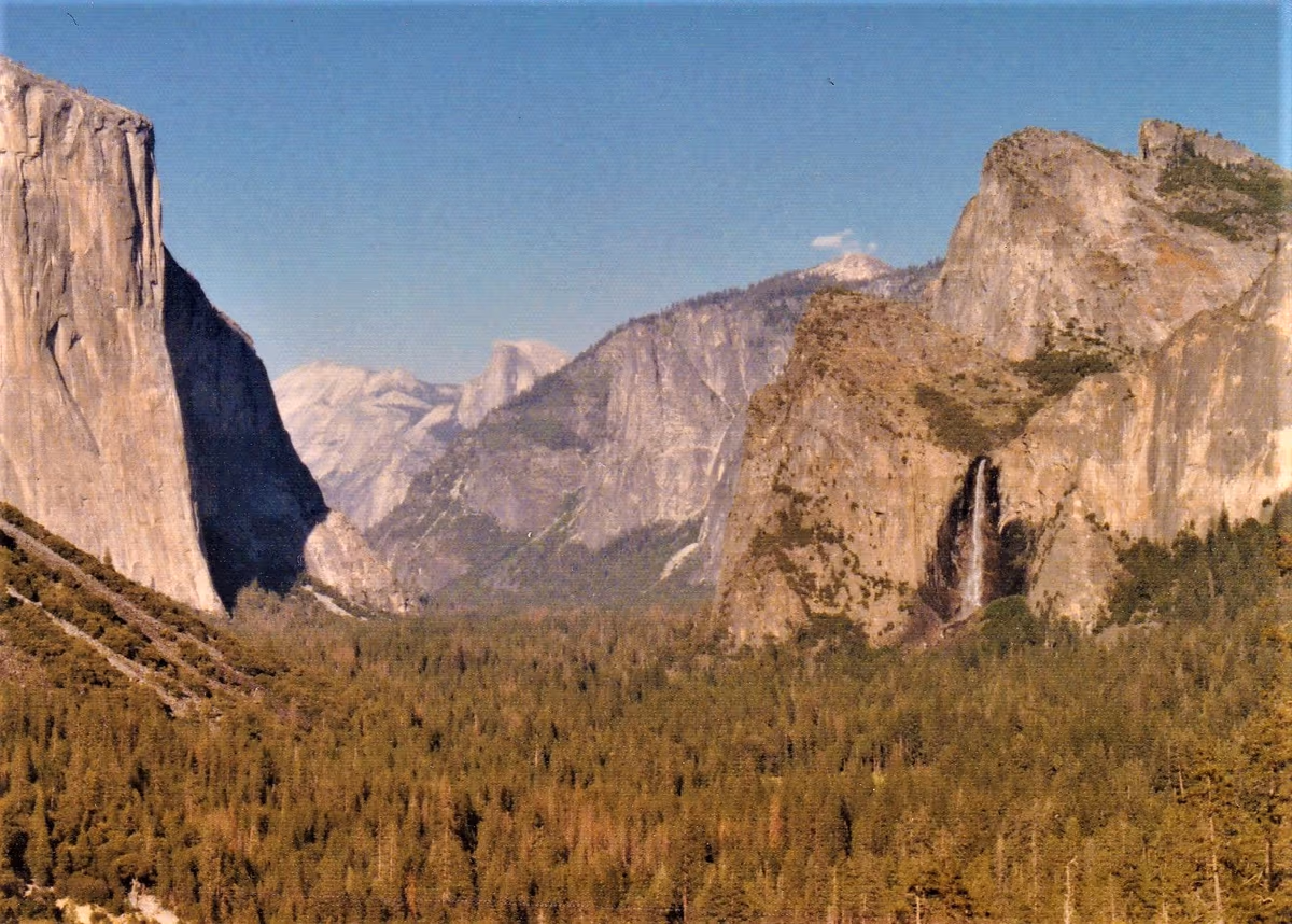投稿写真：アメリカ合衆国カリフォルニア州ヨセミテ国立公園