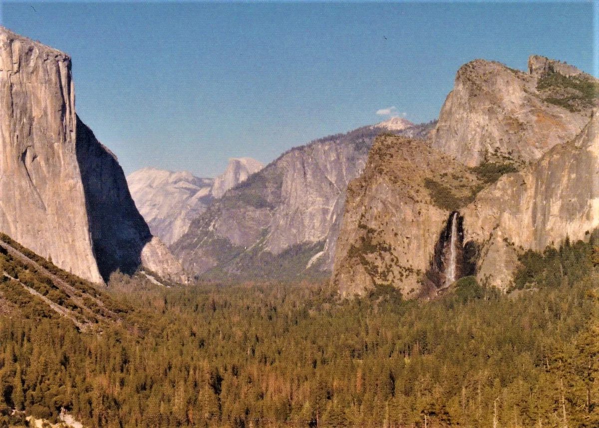 投稿写真：アメリカ合衆国カリフォルニア州ヨセミテ国立公園