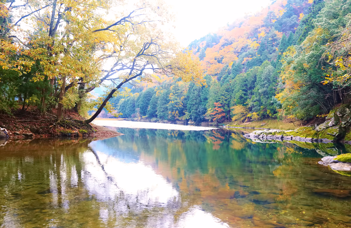 投稿写真：静寂の秋