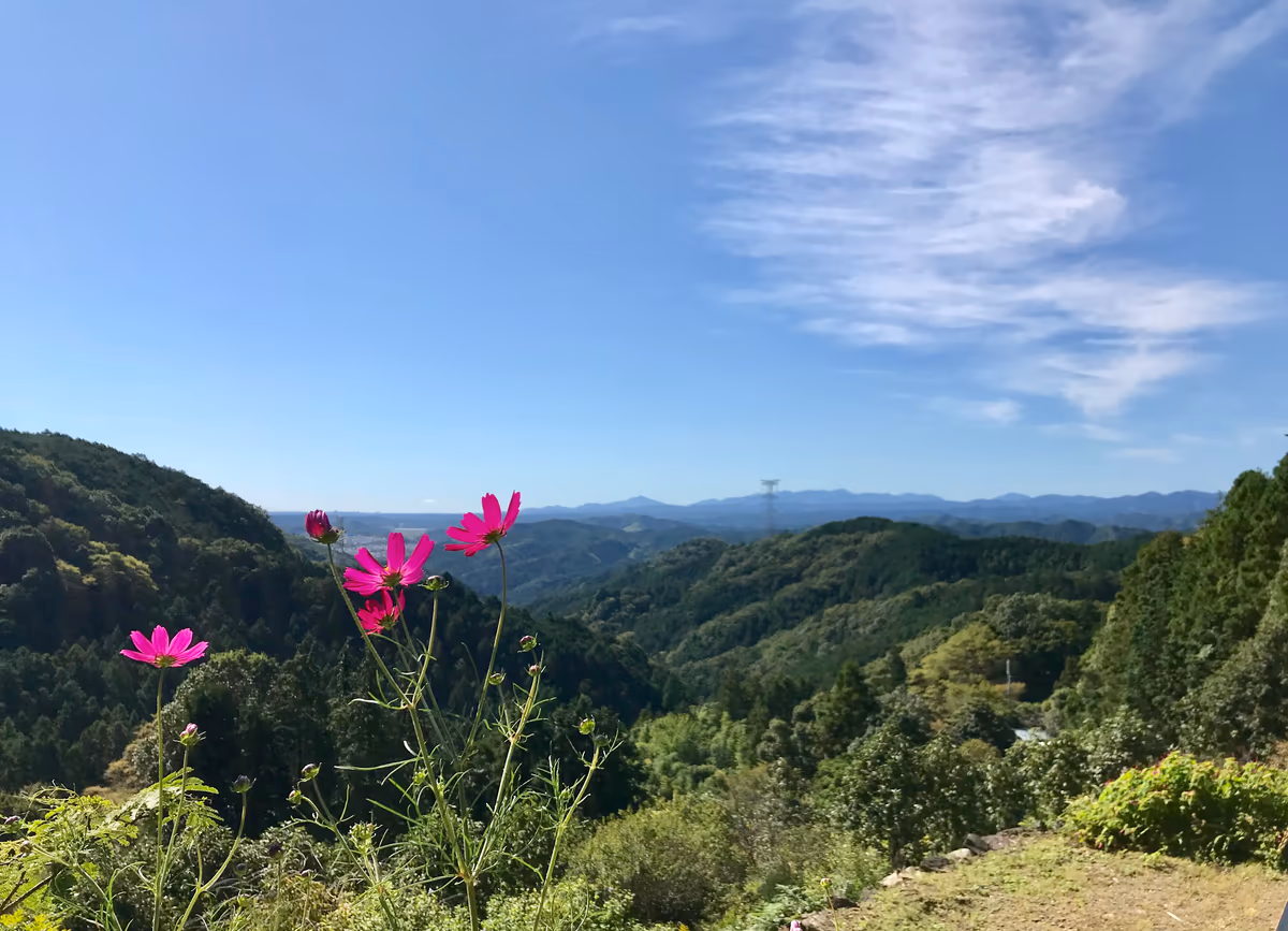 投稿写真：高指山付近からの風景