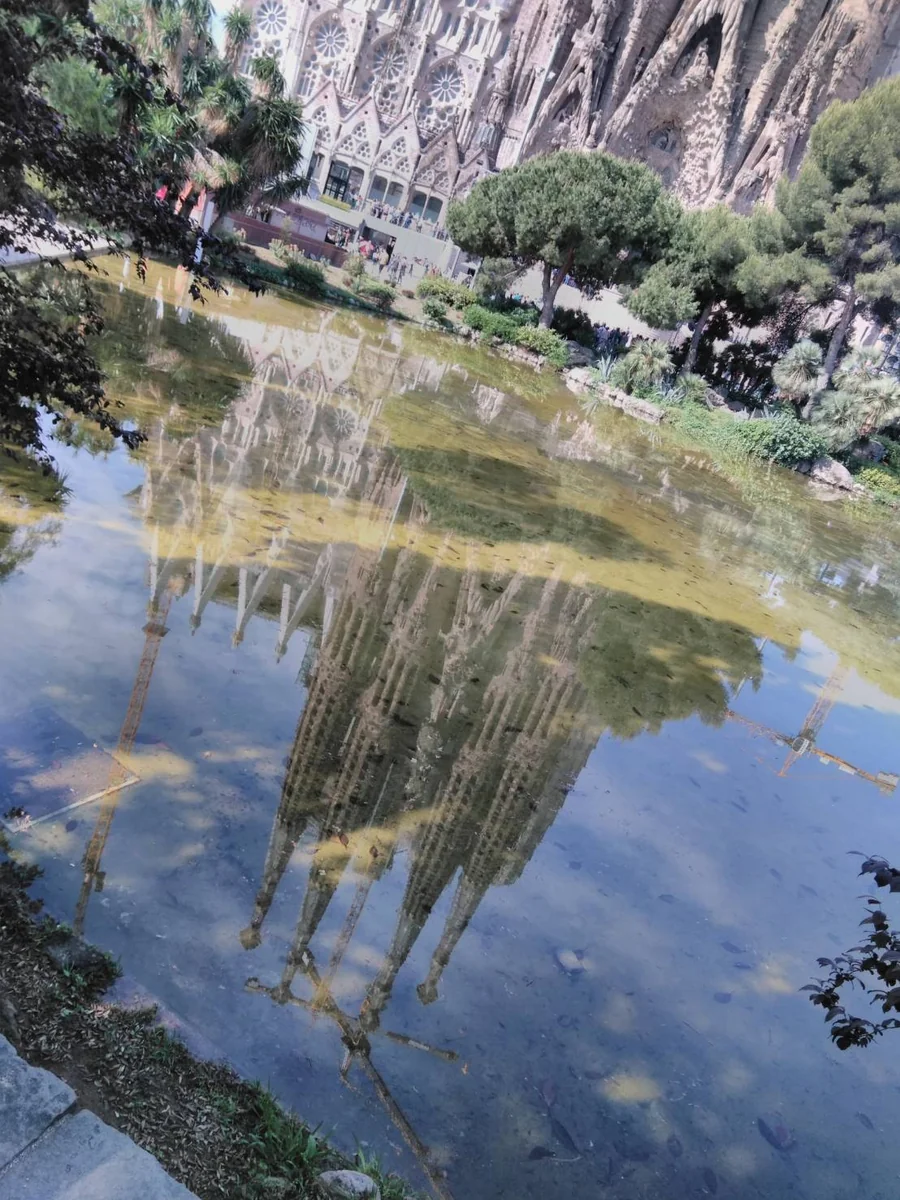 投稿写真：水面のサクラダファミリア