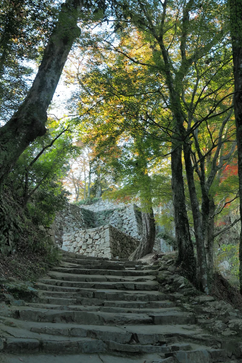 投稿写真：備中松山城　本丸までたどり着くには大変だ