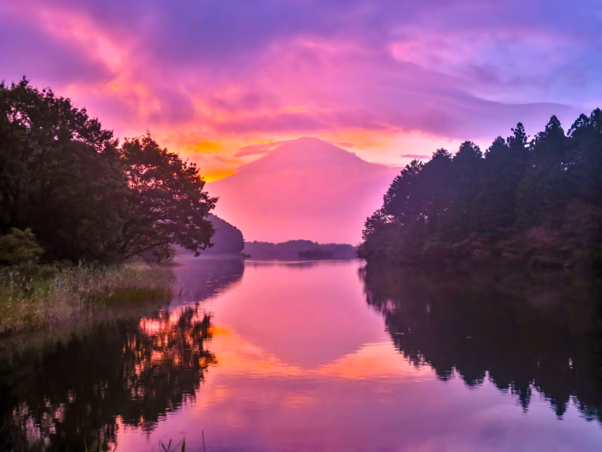 投稿写真：ダブル朝焼け笠雲富士