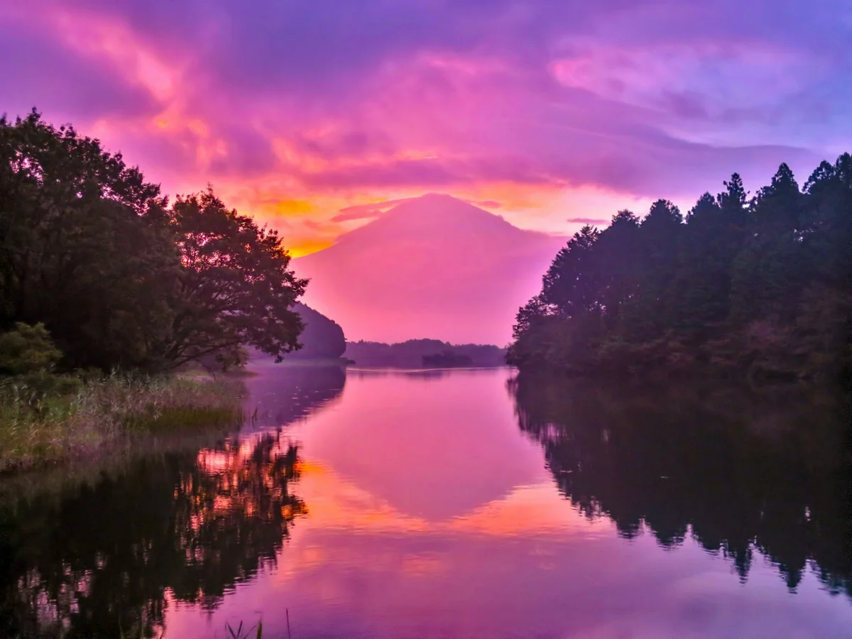 投稿写真：ダブル朝焼け笠雲富士