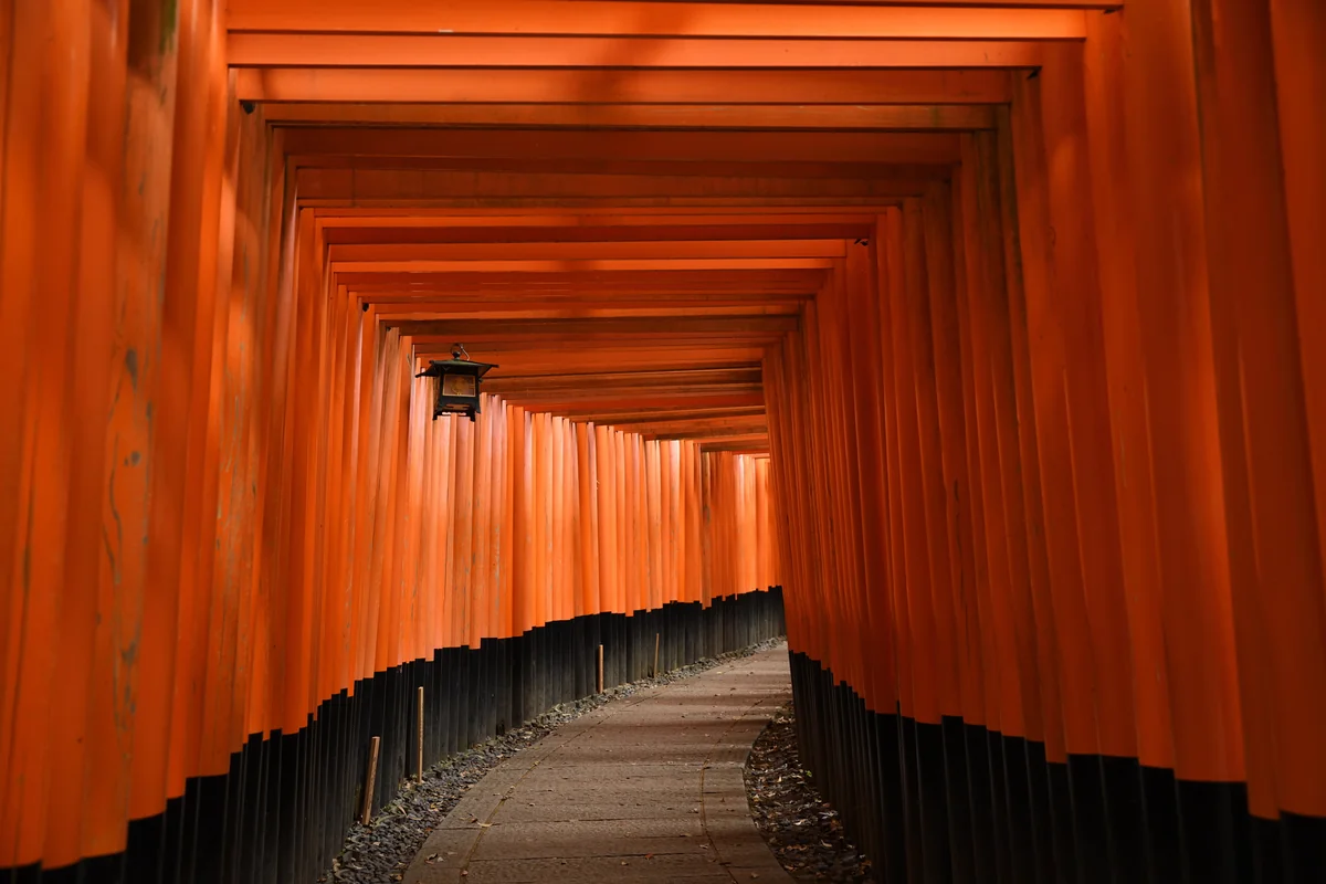 投稿写真：千本鳥居