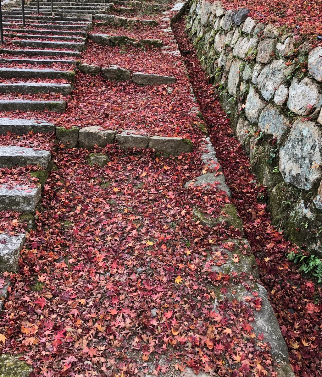 投稿写真：三井寺