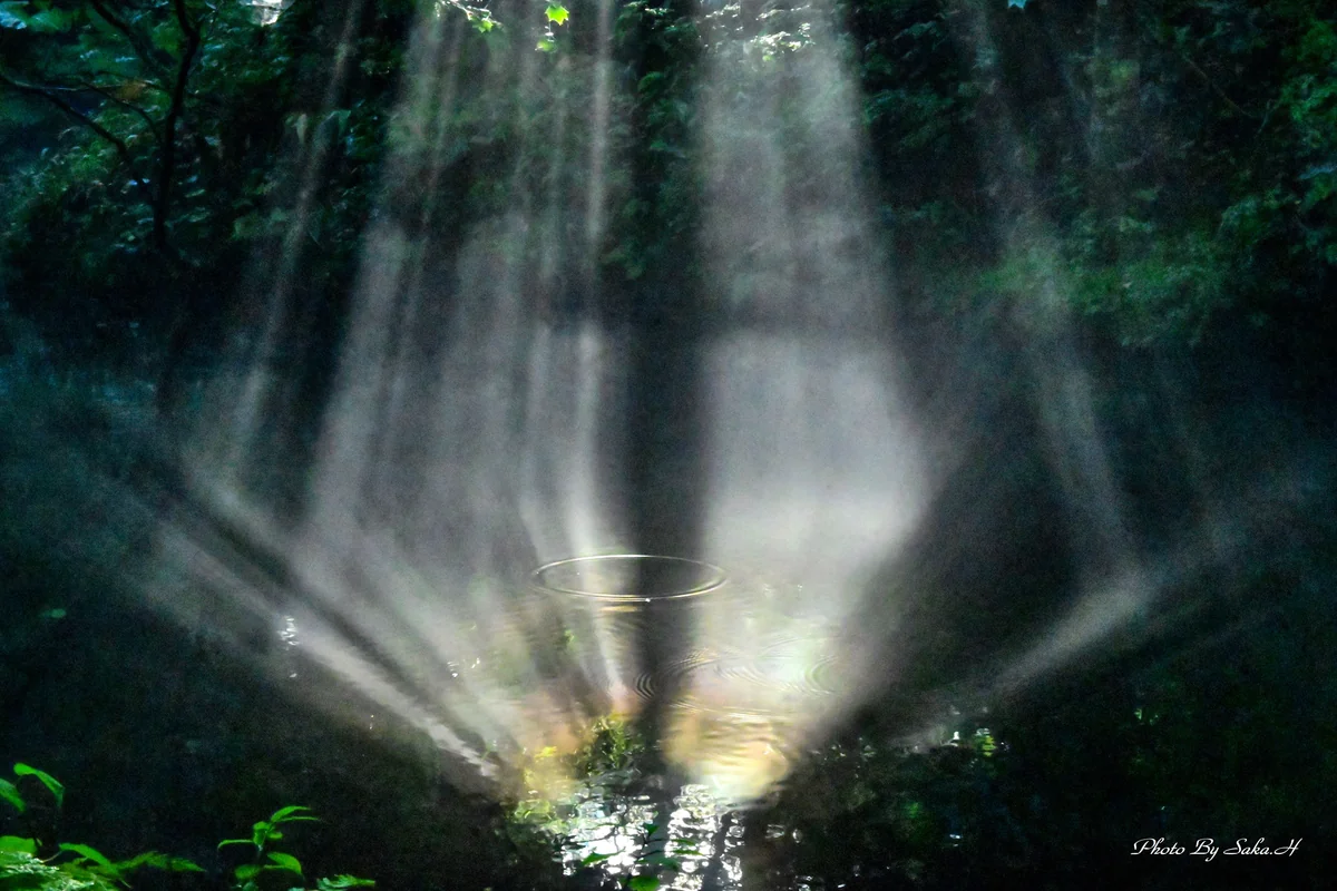 投稿写真：光芒反射