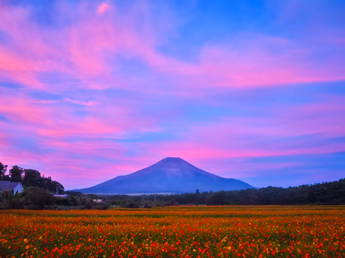 投稿写真：爆焼け雲と富士山