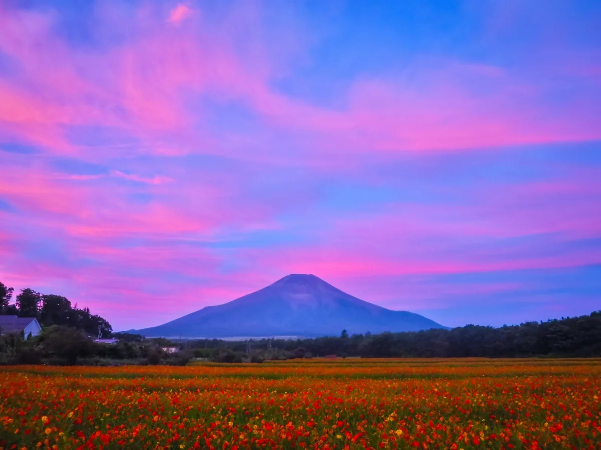 投稿写真：爆焼け雲と富士山