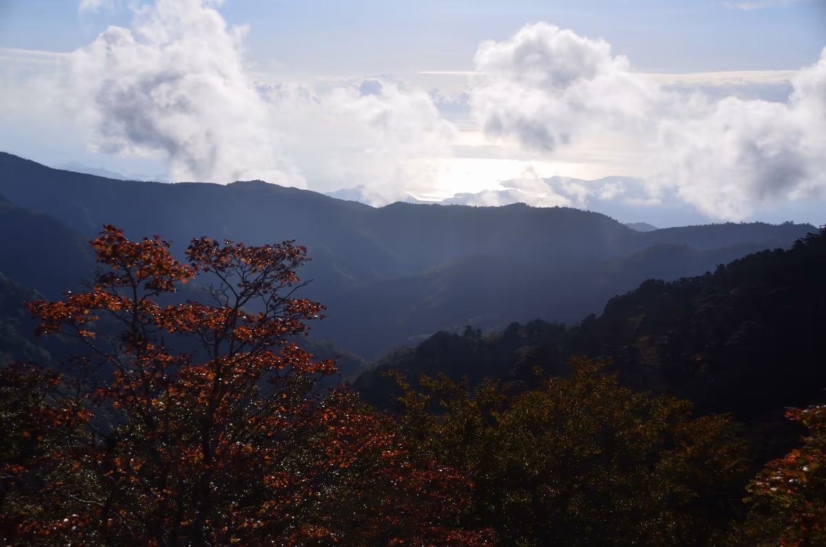 投稿写真：大台ケ原　熊野灘
