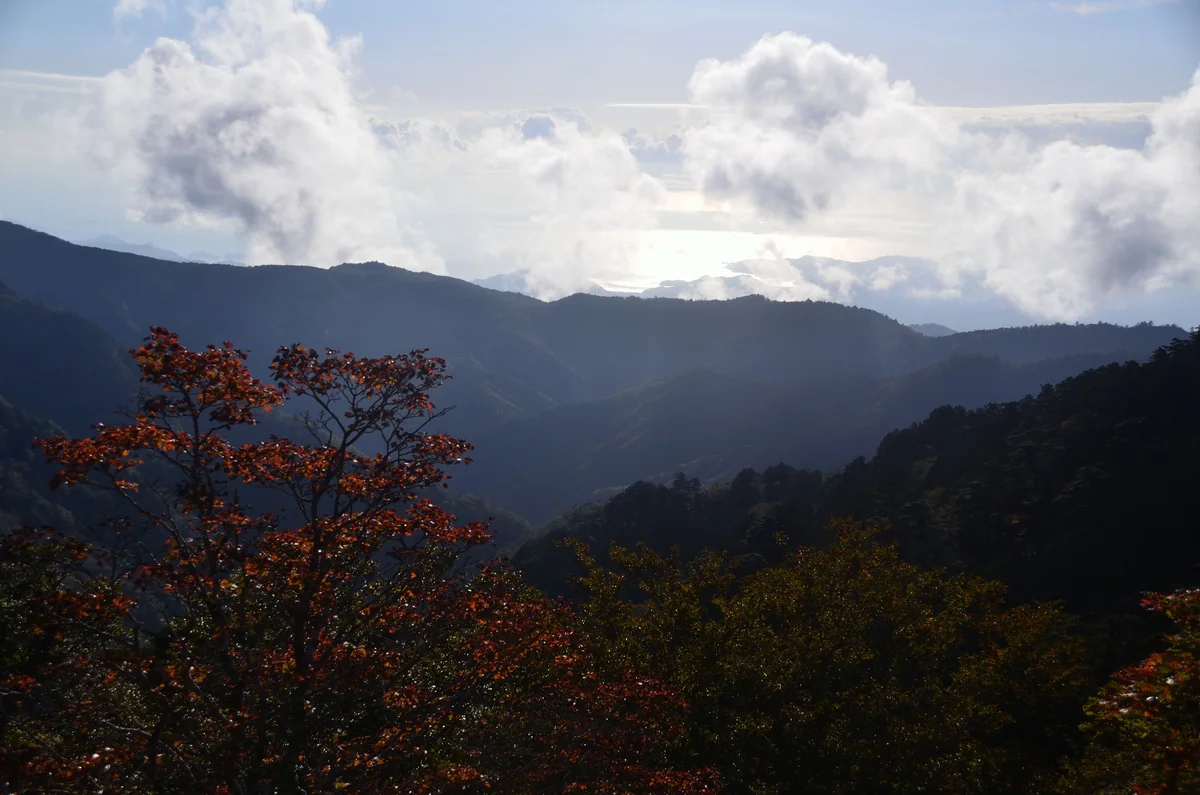 投稿写真：大台ケ原　熊野灘