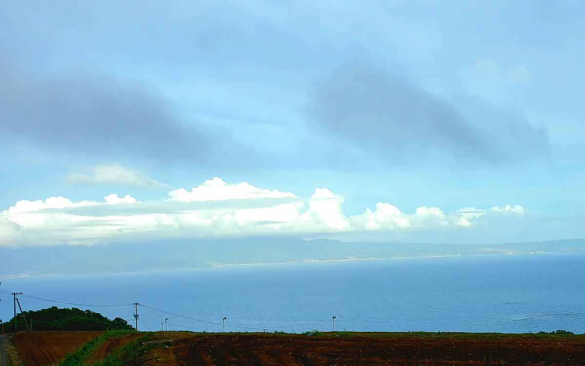 投稿写真：じゃがいも畑