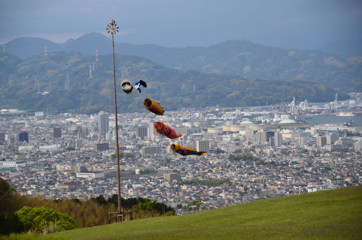 投稿写真：日本平　鯉のぼり