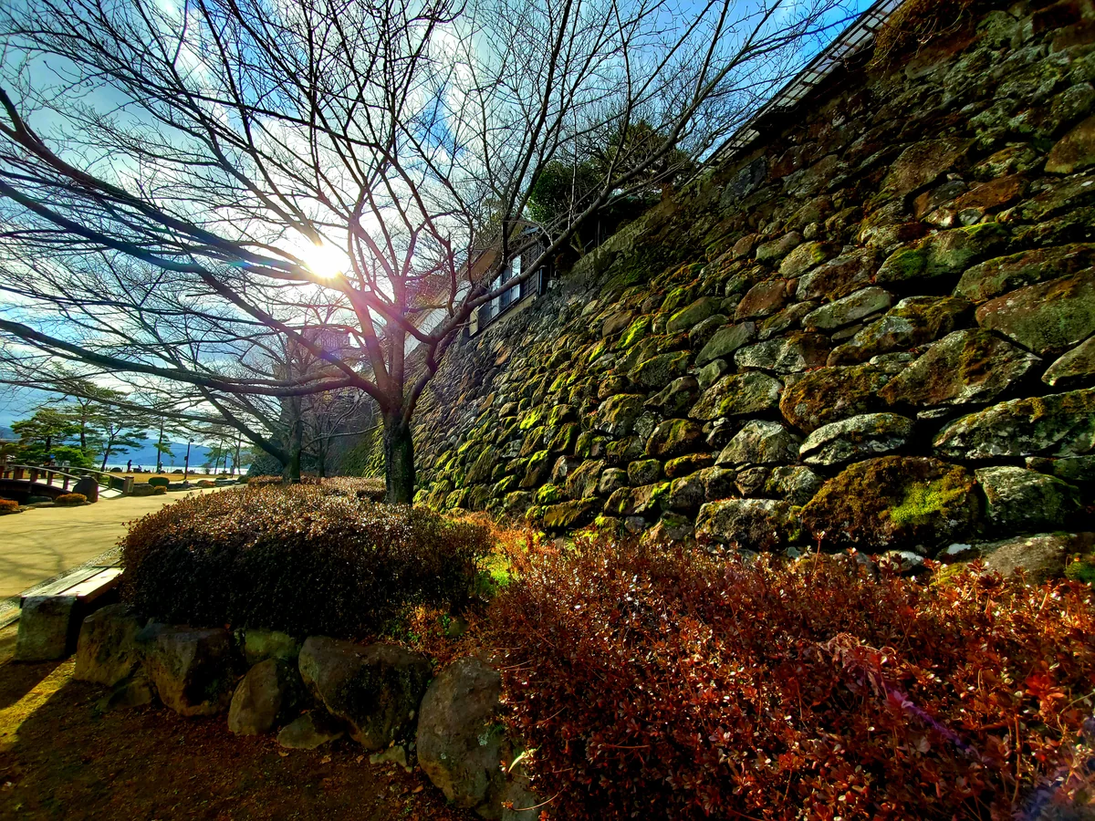 投稿写真：二の丸の石垣