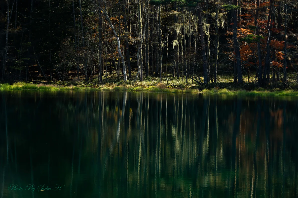 投稿写真：御射鹿池