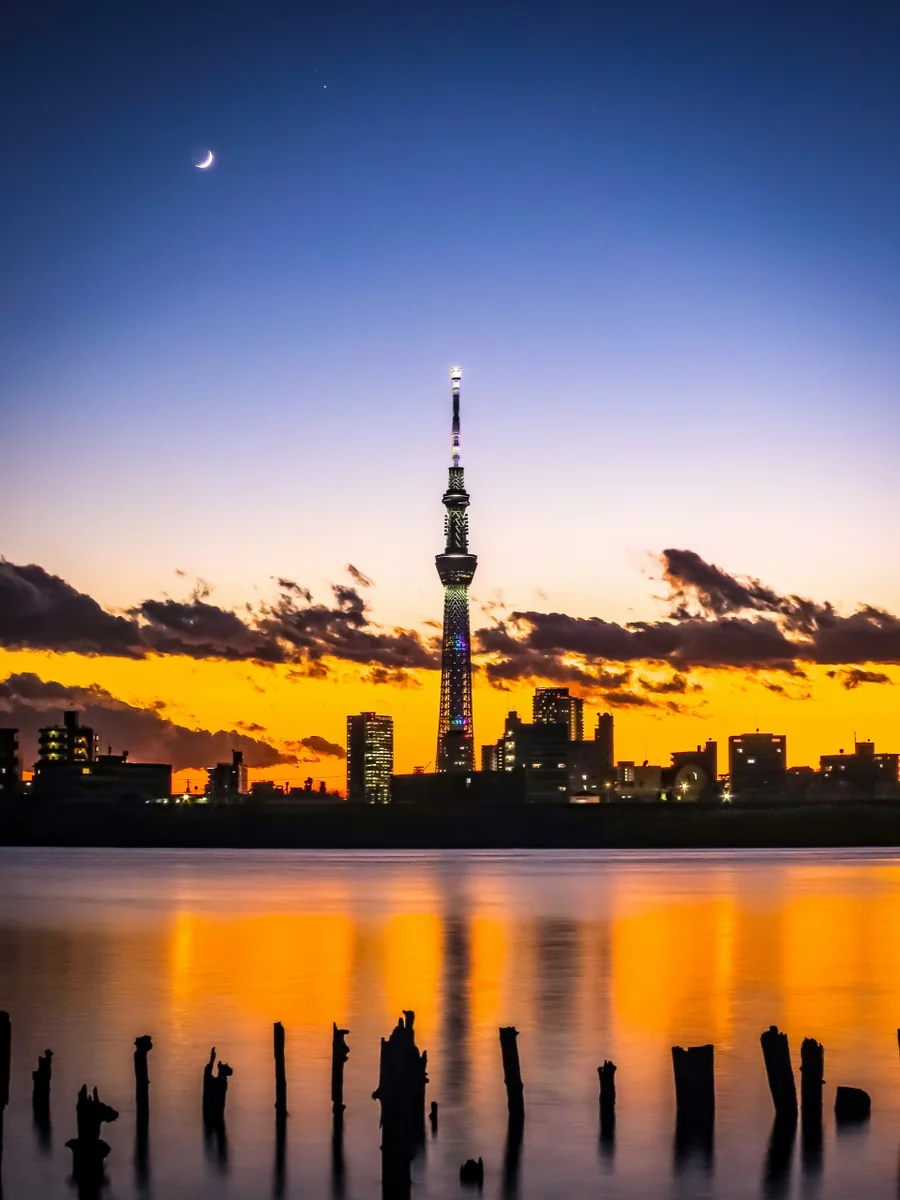 投稿写真：マジックアワーのスカイツリーと三日月と木星