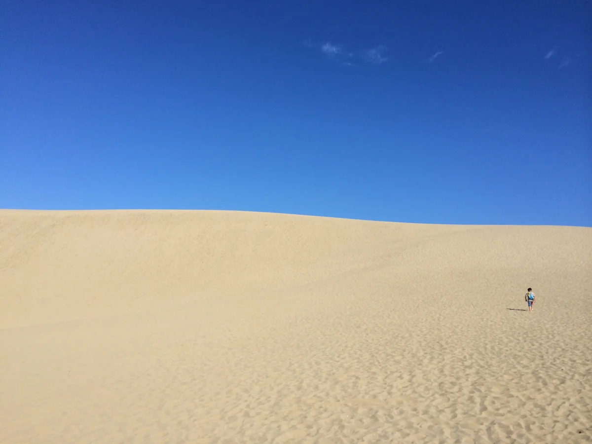 投稿写真：砂平線