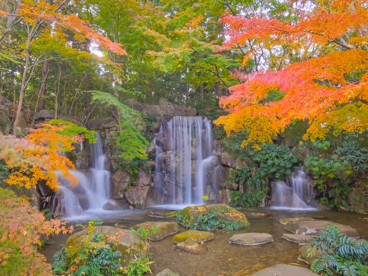 投稿写真：モミジの滝のモミジの紅葉