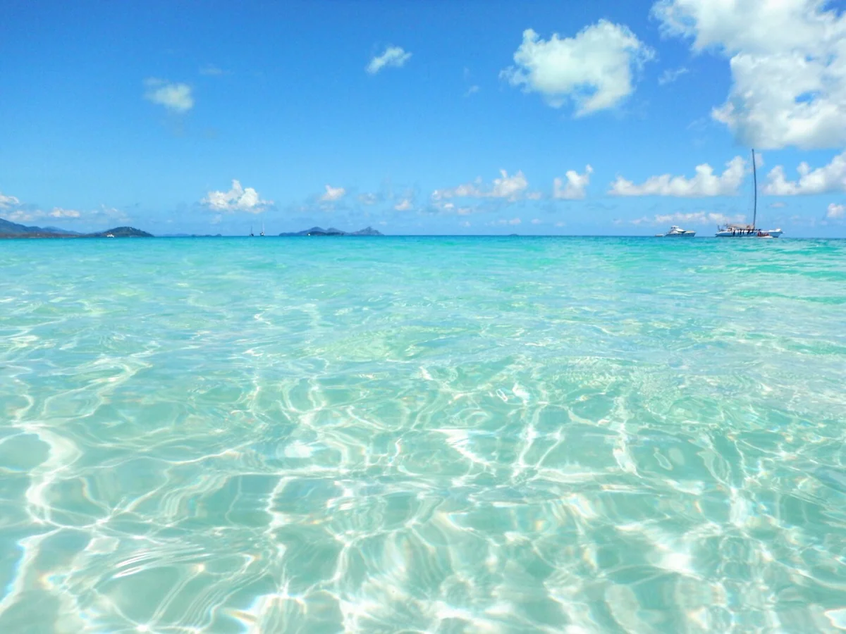 Mayaさんの投稿写真