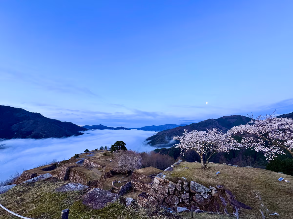 投稿写真：月と桜と雲海と