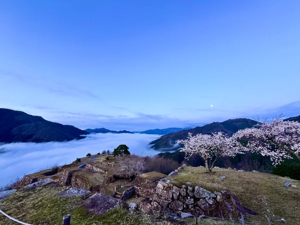 投稿：月と桜と雲海と