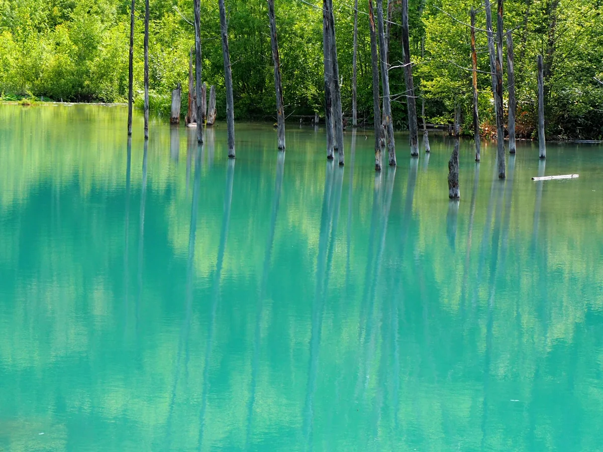 投稿写真：青い池