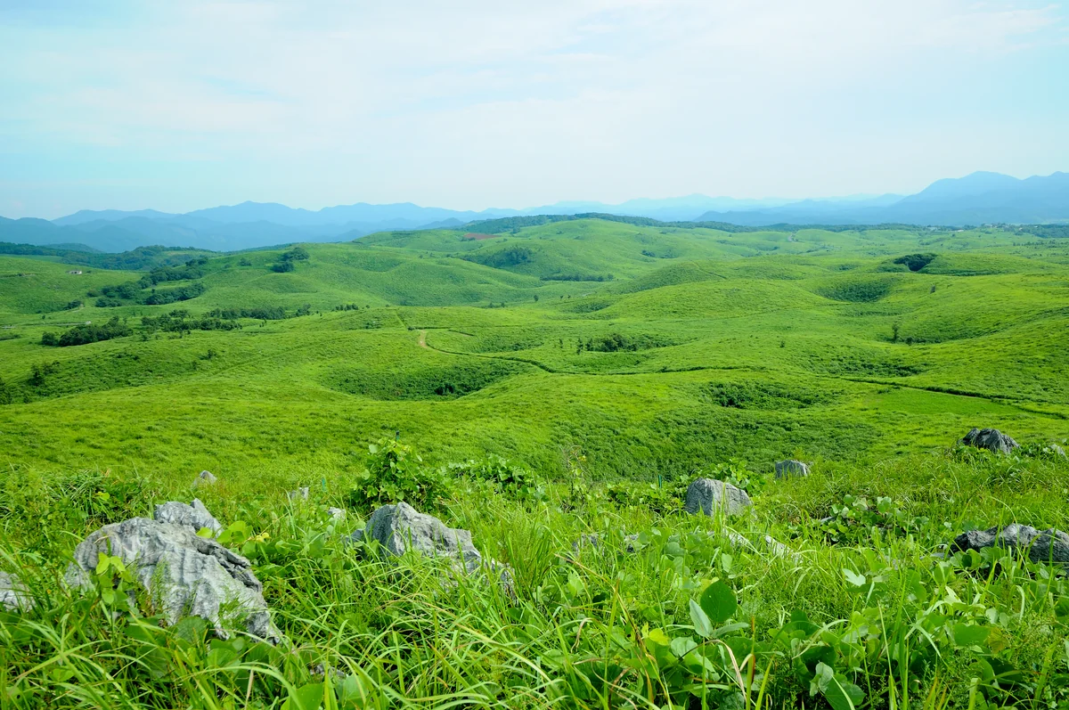 投稿写真：秋吉台国定公園
