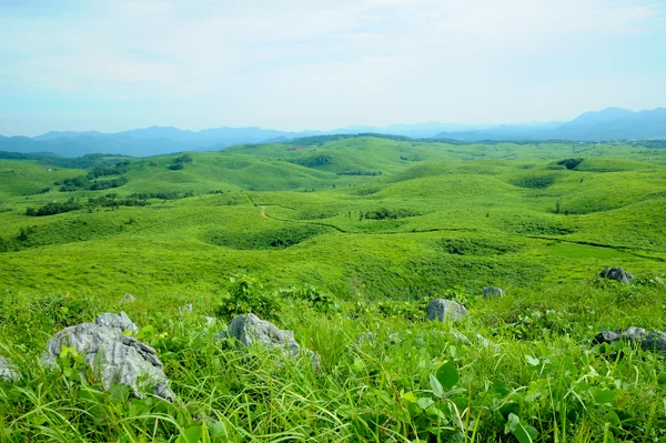 投稿：秋吉台国定公園