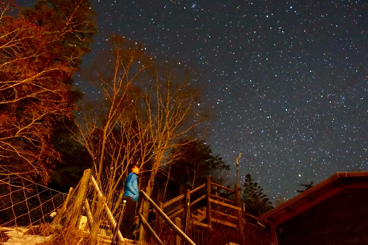 投稿写真：雲取山荘の星空