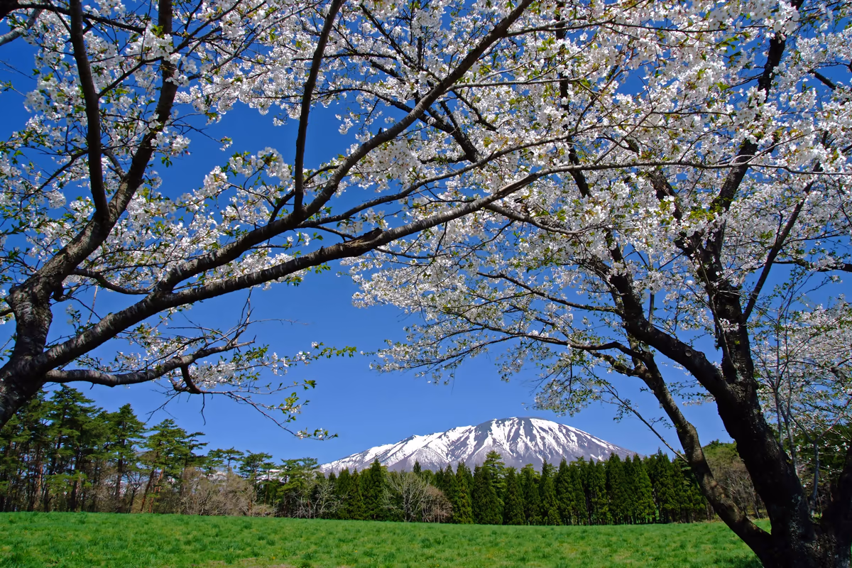 投稿写真：光る、岩手山