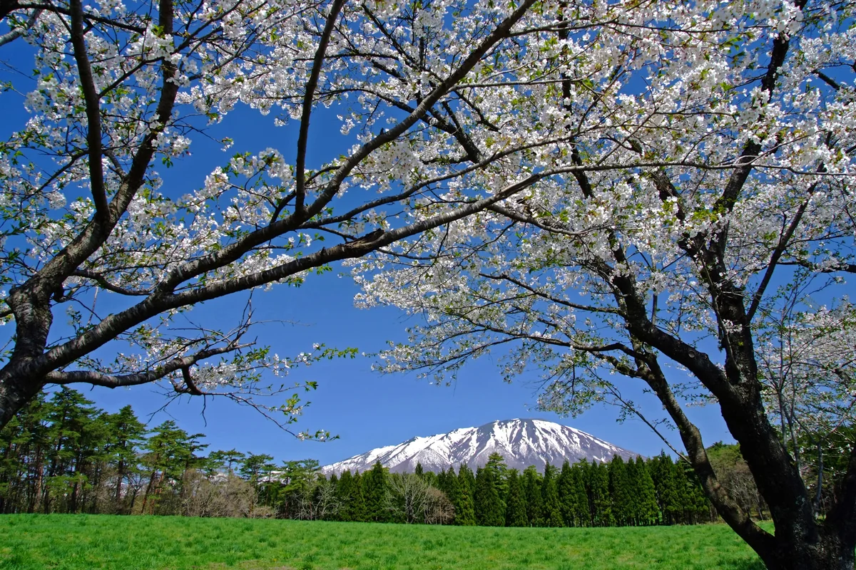 投稿写真：光る、岩手山