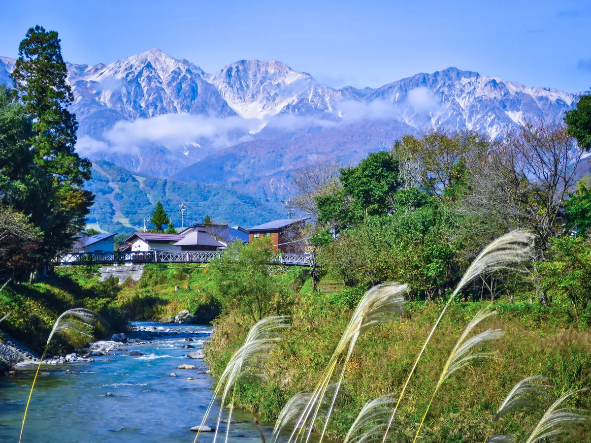 投稿写真：秋の白馬村