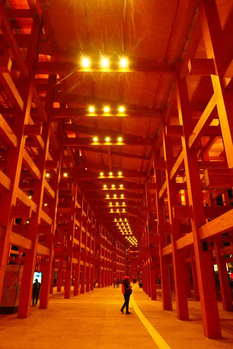 投稿写真：関西万博　大屋根リング