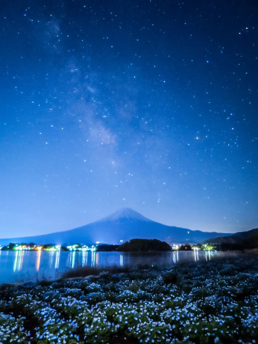 投稿写真：ネモフィラ、富士山、天の川
