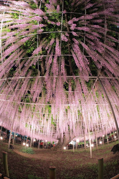  | 絶景事典