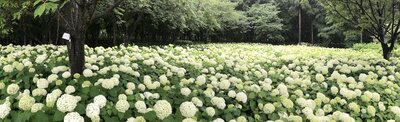  | 絶景事典
