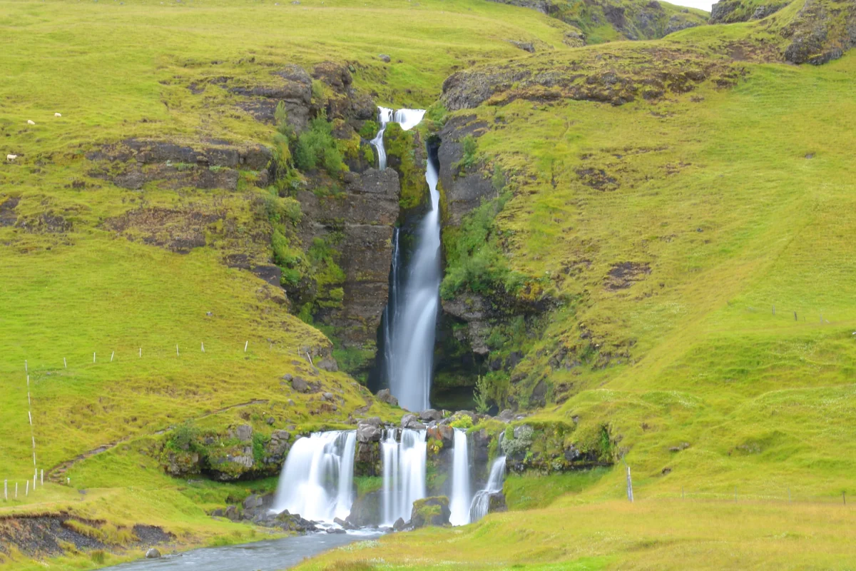 投稿写真：グルガフォス