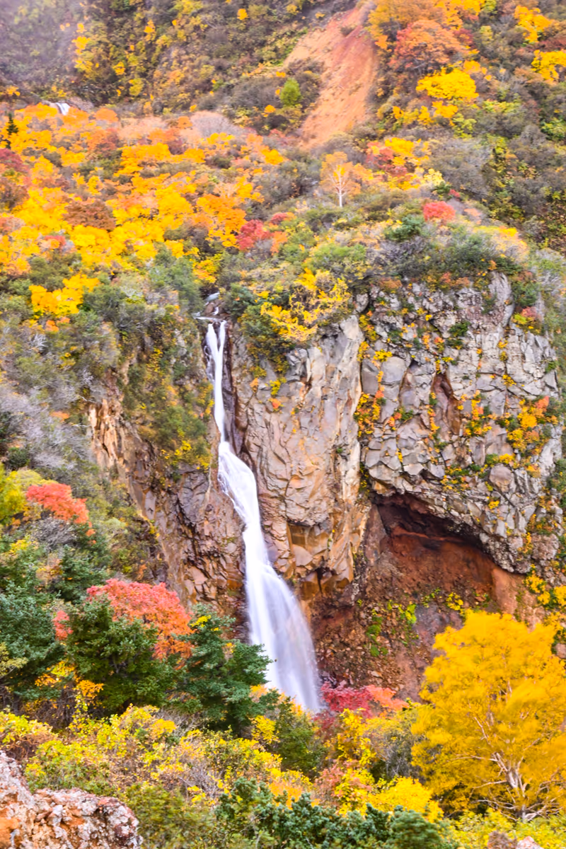 投稿写真：紅葉