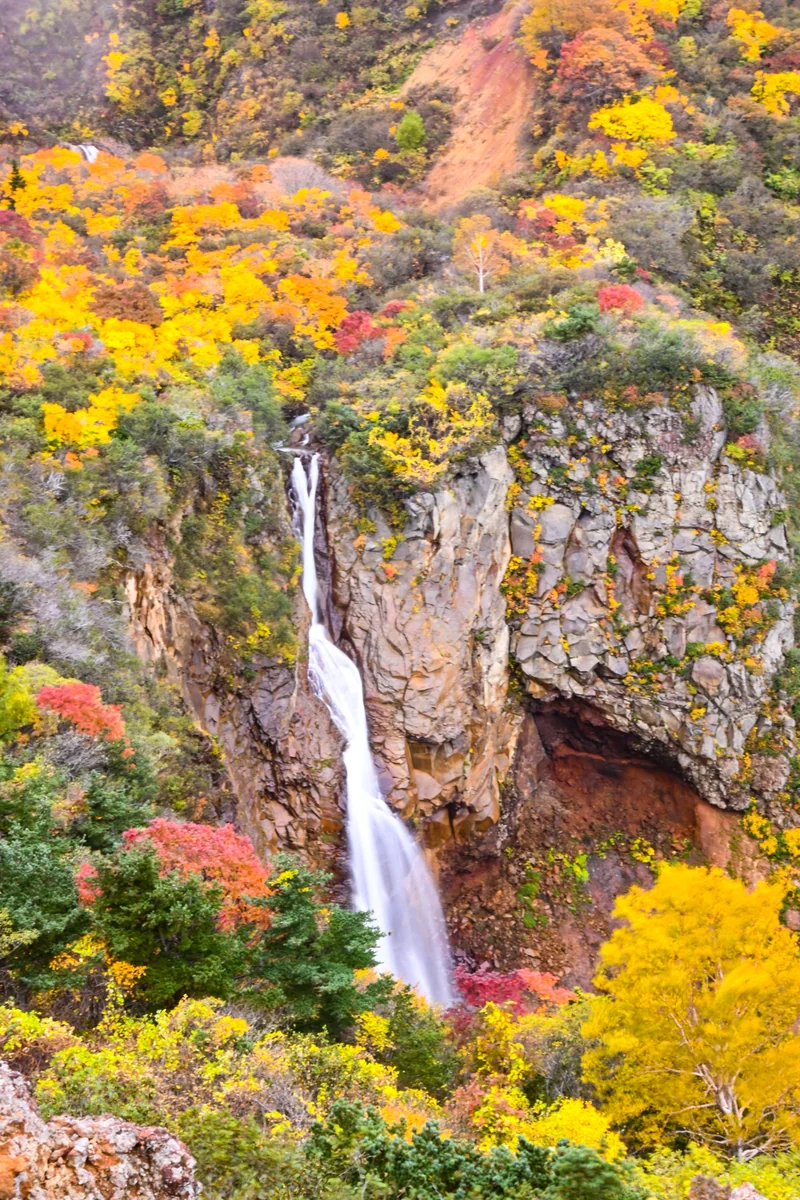 投稿写真：紅葉