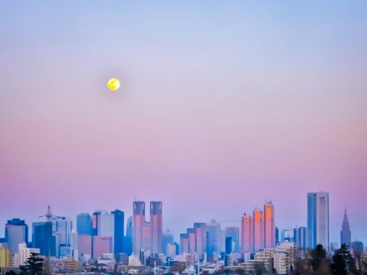 投稿写真：ビーナスベルトの中の小望月と新宿副都心