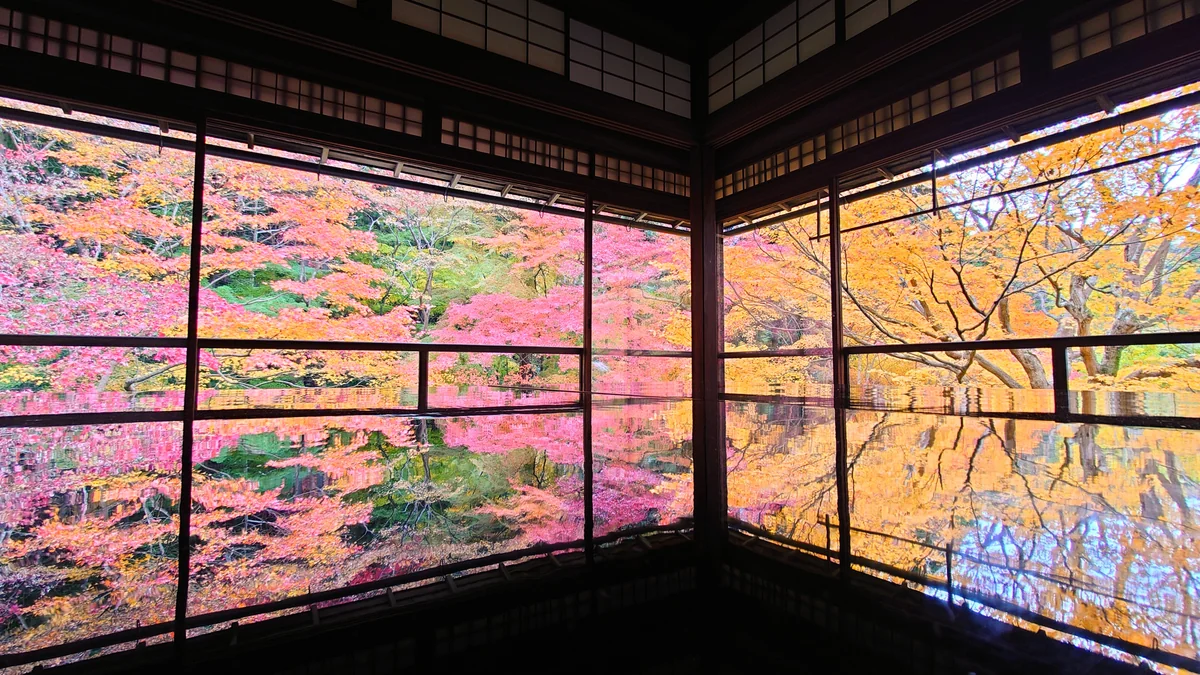 投稿写真：瑠璃光院